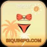 biquinipg VIP v2.1.3